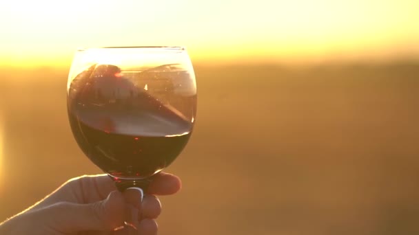 Αργή Πλάνα Του Χεριού Κρατώντας Ποτήρι Κρασί Στο Γήπεδο Ηλιοβασίλεμα — Αρχείο Βίντεο