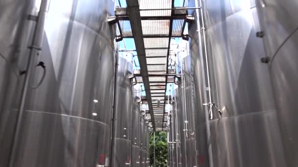 Barris Aço Grandes Para Fermentação Vinho Unidade Produção Vinho Tanques — Vídeo de Stock