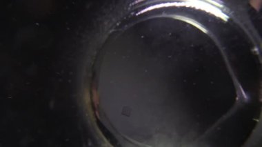 Kuyumcu gümüş yüzüğü sıvı bir banyoya daldırır. 