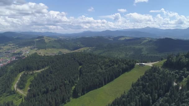 Καρπάθια Βουνά Και Δάση Αεροφωτογραφία — Αρχείο Βίντεο