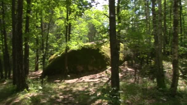 Stonehenge im Wald — Stockvideo