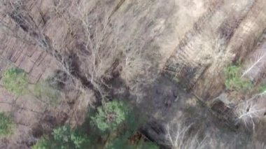 Pripyat üzerinde uçan, ghost town yakınındaki Çernobil hava