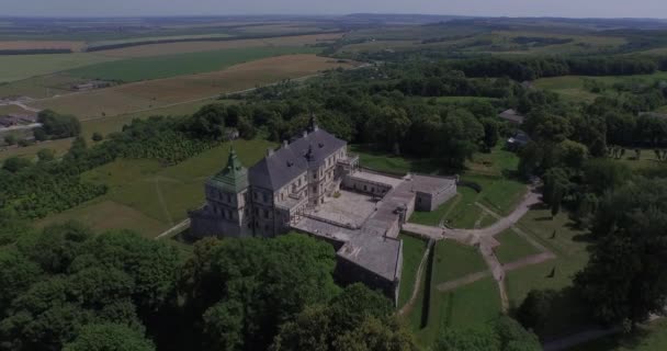 Maravilloso Castillo Palacio — Vídeos de Stock