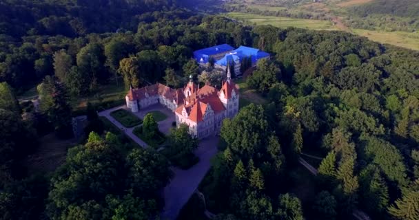 Romantisk saga mansion i fransk stil — Stockvideo