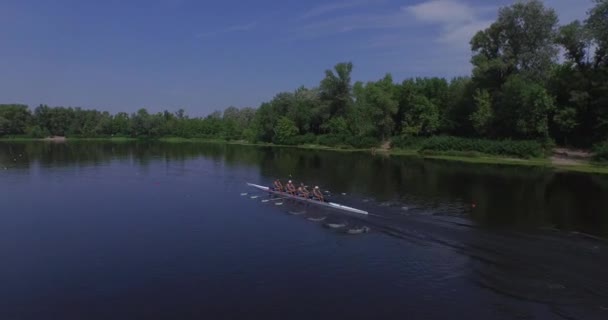 Course d'aviron. Vue aérienne des rameurs pendant l'entraînement. août 2015 — Video