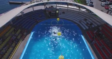 Gösteri sırasında yunus akvaryumu üzerinde uçmak. Odesa city, Ukrayna