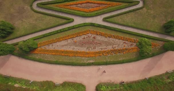 Tournage aérien dans un parc dendrologique pittoresque et romantique — Video