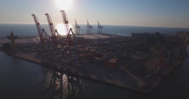 City port on sunrise. Urban aerial view — Stock Video