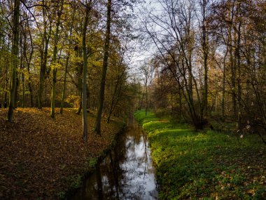İki mevsim arasında sihirli bir sınır olarak küçük su akıntısı. Çek Cumhuriyeti Veltrusy 'de sihirli bir yer.