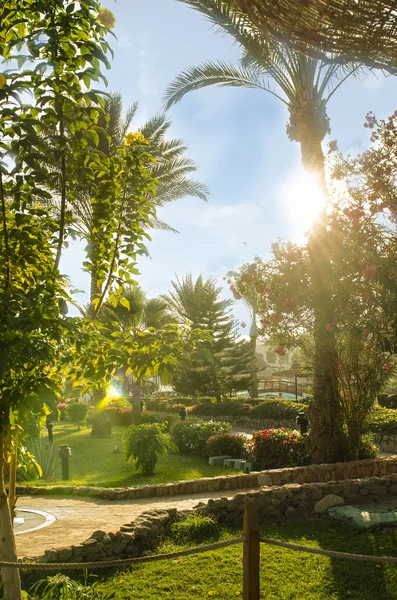 Vacker exotisk natur Visa palm och havet. koppla av och kallelse. — Stockfoto