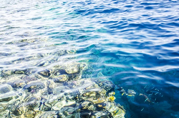 Corals and blue sea water with fishes summertime relax view. — Stock Photo, Image