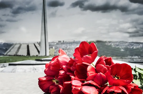 Rote Tulpen im tsitsernakaberd Denkmal — Stockfoto