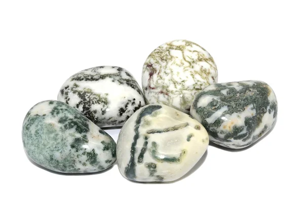 Tree Agate — Stock Photo, Image