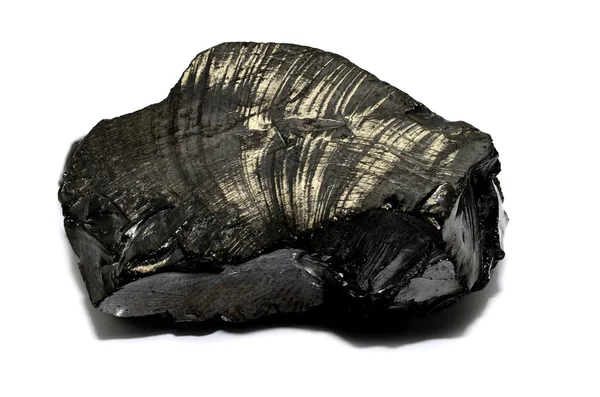 Soylu Shungite