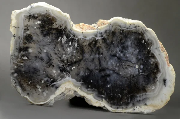 Dendritik Opal dilim — Stok fotoğraf