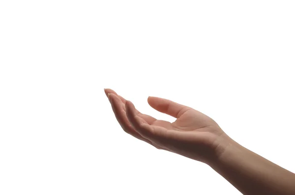Рука жінки ізольована на білому — стокове фото