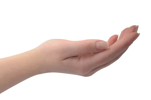 beyaz izole kadın eli