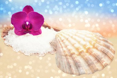 Orkide ve köpüklü bir kum plajındaki deniz tuzu ile deniz kabuğu