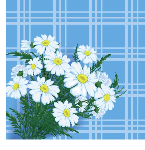 Néhány fehér virágok — Stock Vector