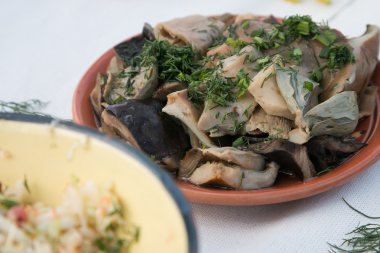 Mantar volnushki, Russula, Tirmit, tuz, havadaki masada.