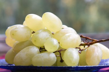 Beyaz üzüm çiğ damlaları ile. Mavi plaka üzerinde yalan üzüm. Yan görünüm.