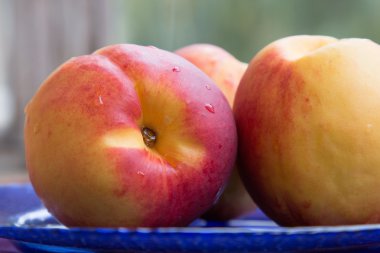 Mavi plaka üzerinde yalan üç Olgun kırmızı ve sarı kuru soğan.