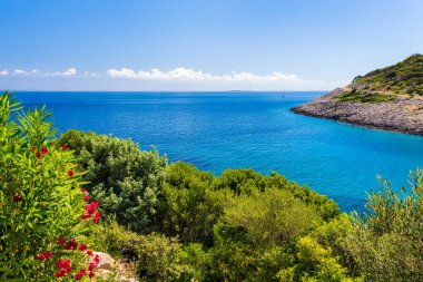 Hırvatistan 'ın Kvarner takımadasındaki Losinj adasındaki Köy Poljana kamp alanındaki körfezin manzarası - 