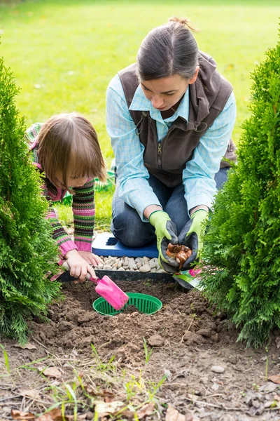 Mor och dotter plantera tulpanlökar — Stockfoto