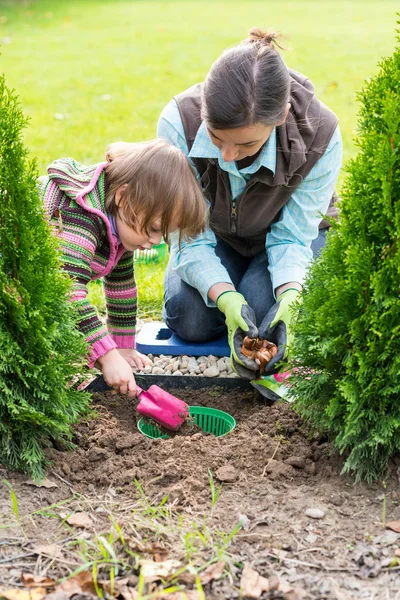 Mamă și fiică plantând bulbi de lalele — Fotografie, imagine de stoc