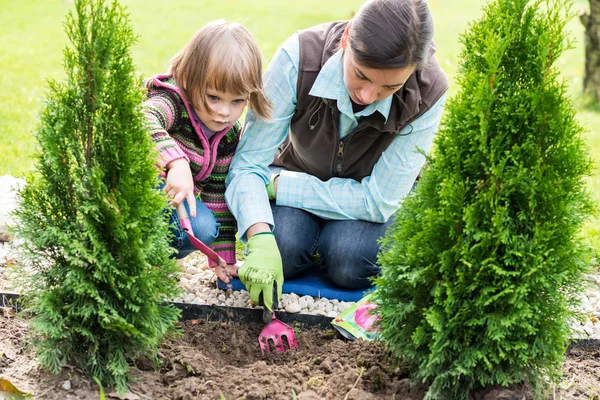 Mother and daughter planting tulip bulbs — Stock Image Mother and daughter planting tulip bulbs Royalty Free Stock Images
