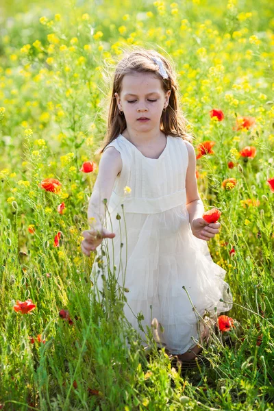 Petite fille mignonne dans une prairie avec des fleurs sauvages — Photo