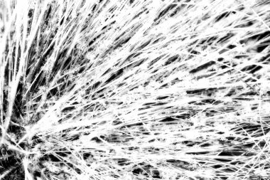 Kızılötesi donmuş ot arka plan