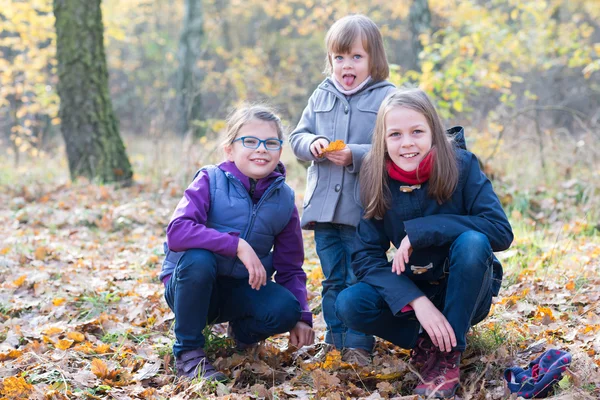 Tři sestry v podzimní Les s úsměvem — Stock fotografie
