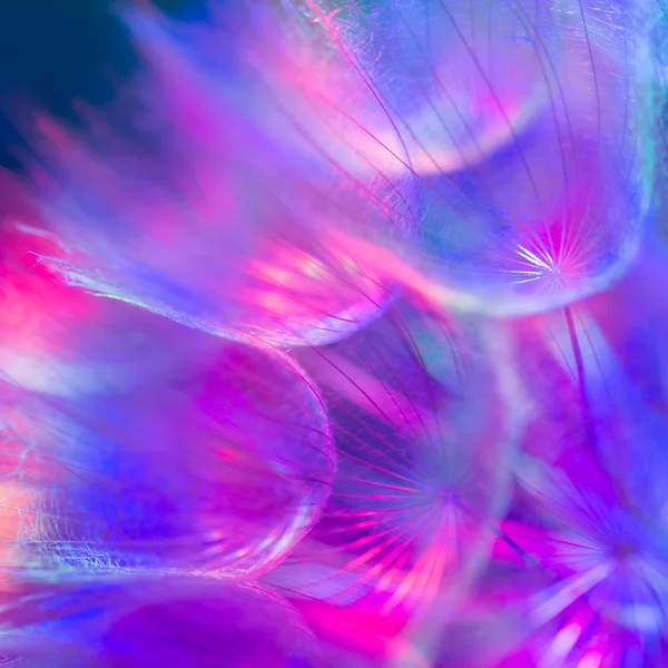 Kolorowe pastelowe tło - żywy kwiat mniszek streszczenie — Zdjęcie stockowe