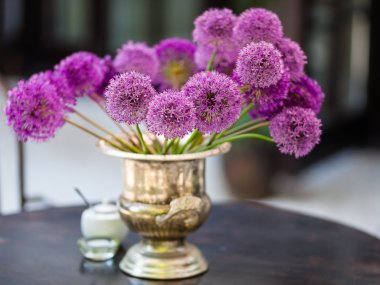 Allium çiçek buketi şık dekoratif vazo içinde