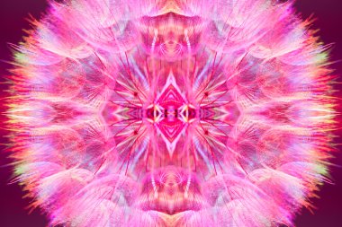 Renkli Pastel pembe - canlı soyut karahindiba flowe
