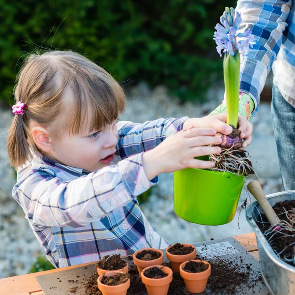 Niña plantando bulbos de flores con su madre — Foto de Stock