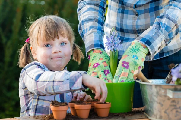 女の子は彼女の母親と一緒に花球根を植えること — ストック写真