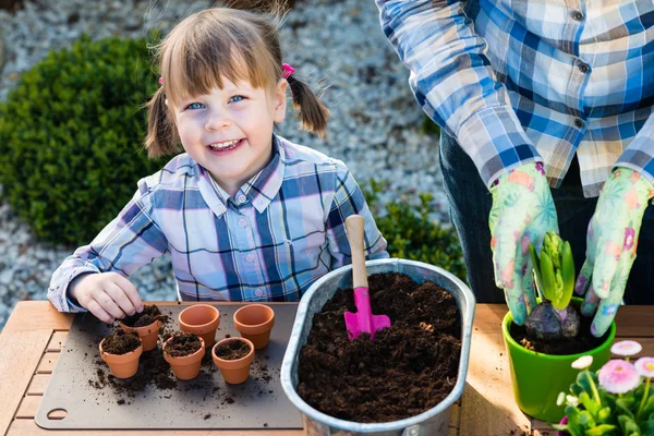 Girl planting flower bulbs — Stock Image Girl planting flower bulbs Royalty Free Stock Photos