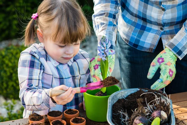 Girl planting flower bulbs with her mother — Stock Image Girl planting flower bulbs with her mother Royalty Free Stock Images