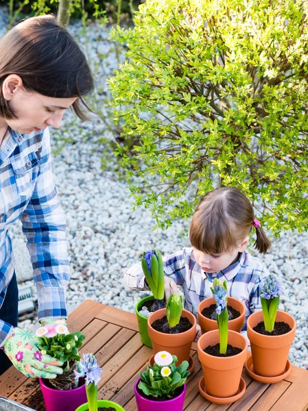 Ragazza piantare bulbi di fiori — Foto Stock