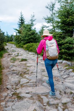 Güneş şapkalı kadın tepeye tırmanıyor kayalık orman patikasında yürüyüş direkleri, sırt çantalı ve pembe ceketli dikiz manzaralı, aktif açık hava seyahati ve yaz kozalaklı ağaçlıklarda macera hayatı sahnesi.
