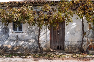 Üzümlü, yıpranmış ahşap kapılı, beyazlatılmış duvar ve sonbahar yapraklı köy evi, güneş ışığında geleneksel kırsal mimari.