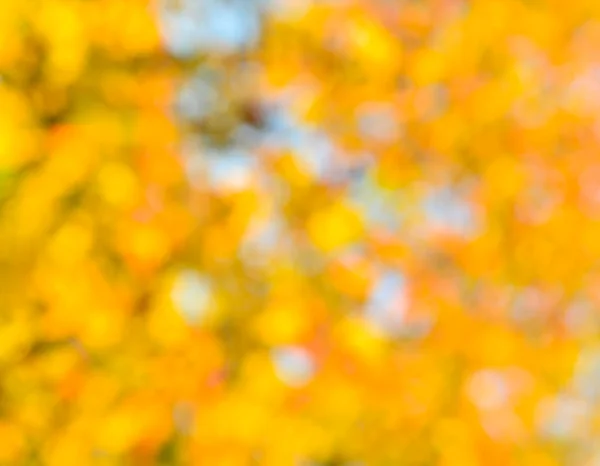 Podzimní přírodní pozadí — Stock fotografie