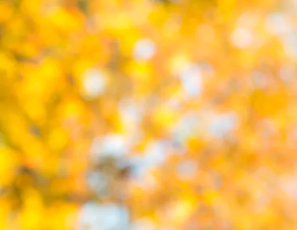 Podzimní přírodní pozadí — Stock fotografie