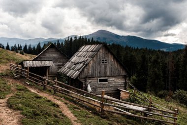 Dağların ortasındaki yaşlı çobanların evi. Sonbaharda Karpat Dağları 'nın doğası. Kasvetli dağlar.