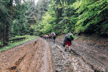 Büyük sırt çantalı bir grup turist yürüyüşe gider. Ormanın içinden geçerek çamurun içinde diz çökün..