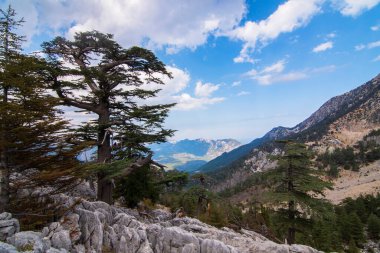 Taurus dağlarındaki dağ sıraları. Gün batımında dağların yamaçlarında Lübnan sedir ağaçları. Türkiye 'deki Lycian patikasının panoramaları.