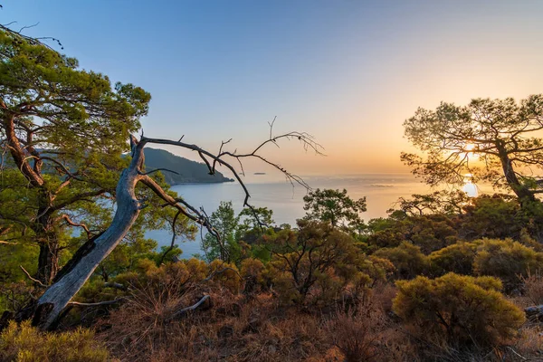 Morning on the beach in the village of Cirali. Blue bay in the Mediterranean at dawn. Landscapes of the Lycian Trail. — Stock Photo, Image