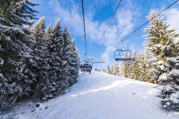 Panorama de la station de ski, piste, personnes sur le téléski, skieurs sur la piste parmi les pins des neiges blancs — Photo